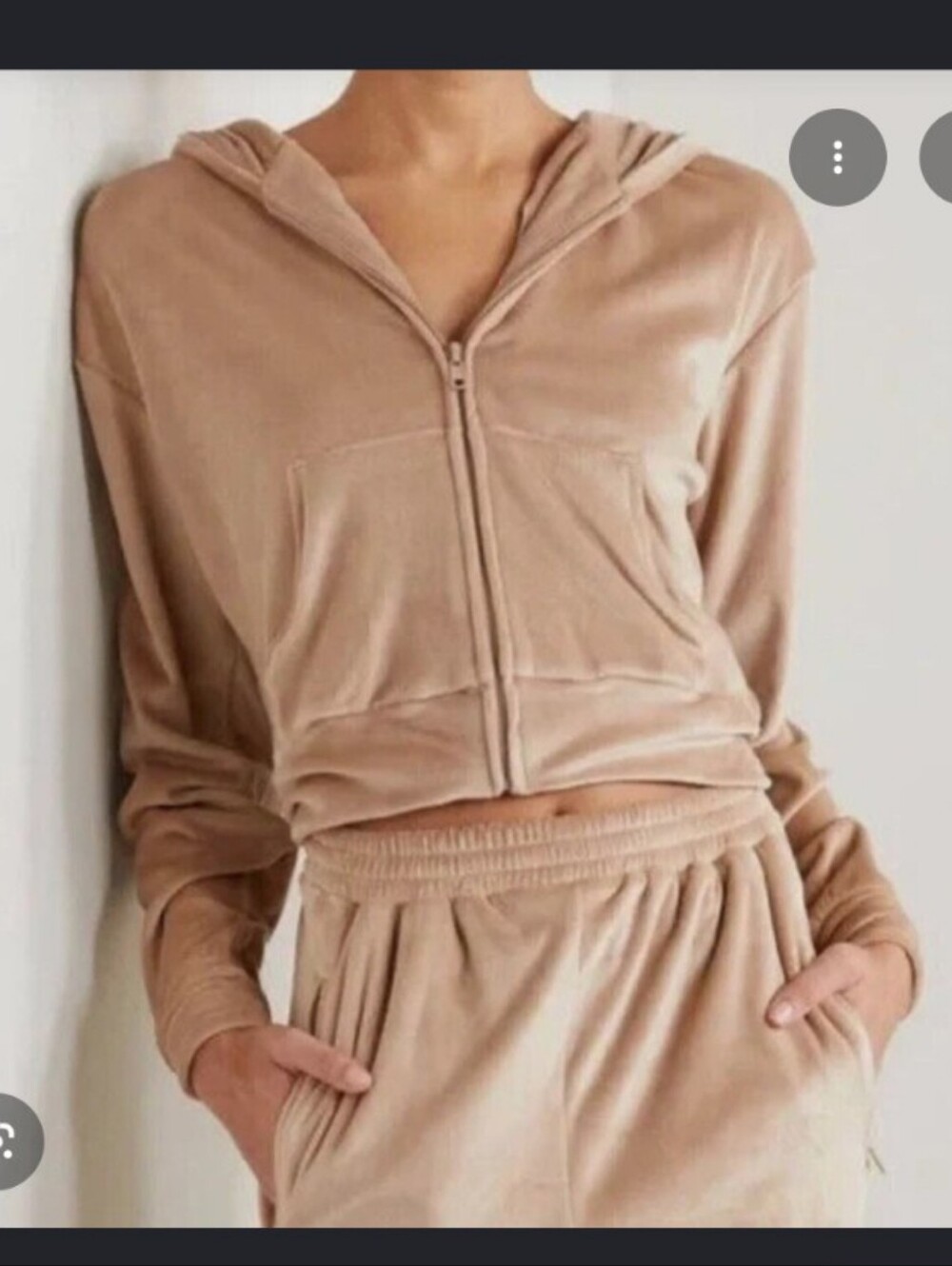 Skims Velour Plush Crop Zip Up Hoodie